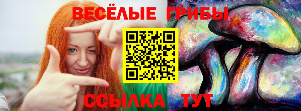 Касимов  Псилоцибиновые грибы ЛСД  Псилоцибиновые грибы MAGIC MUSHROOMS  Вход с VPN 